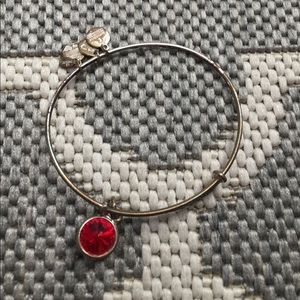 Alex and ani silver ruby charm bracelet
