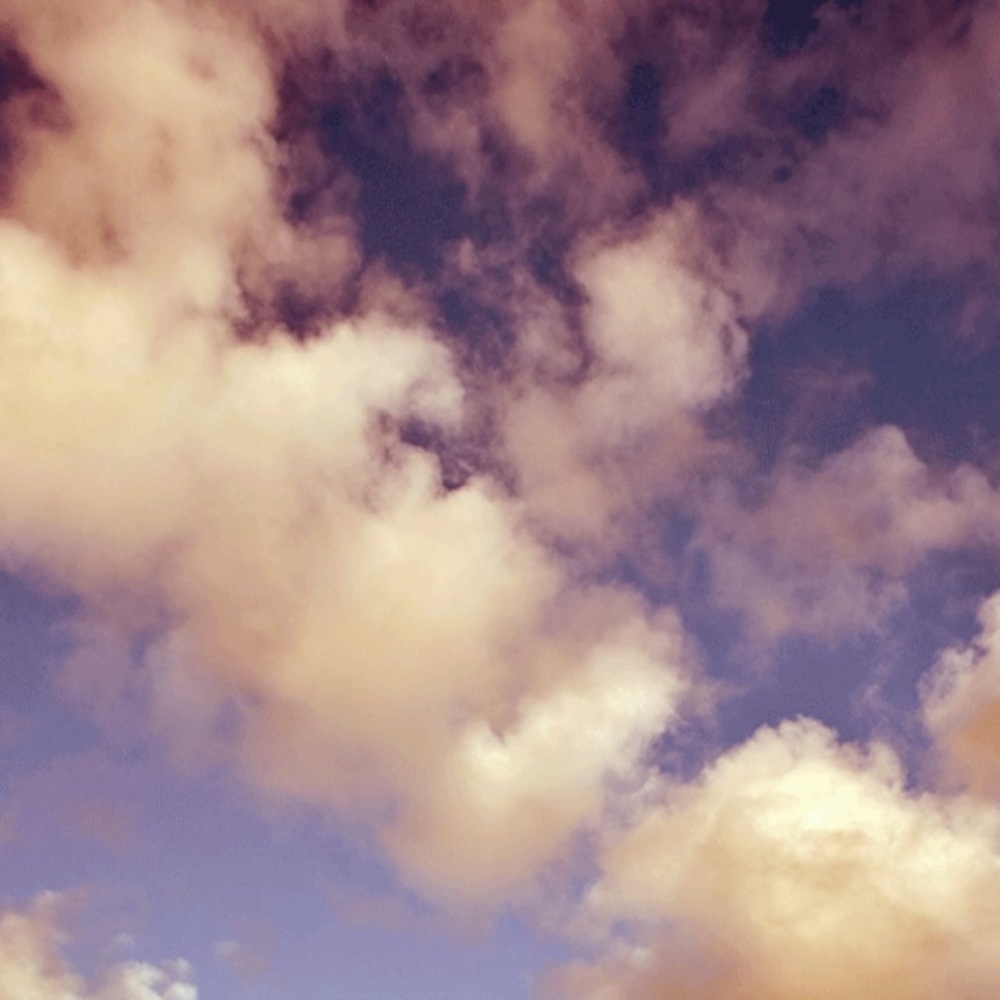 Meet your Posher, Dylan