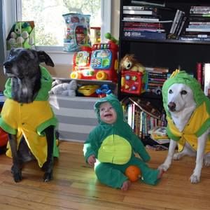 Meet your Posher, Andre