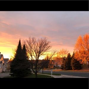 Meet your Posher, Jodi