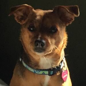 Meet your Posher, Charlie