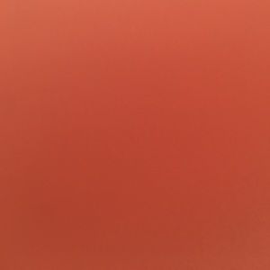 Meet your Posher, Abigail