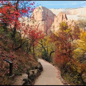 Meet your Posher, Daniela