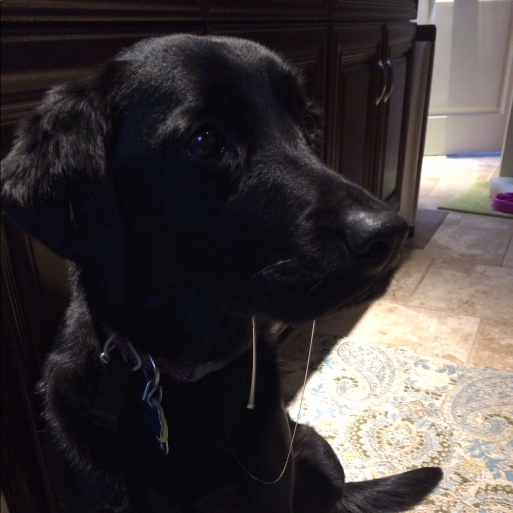 Meet your Posher, Julie
