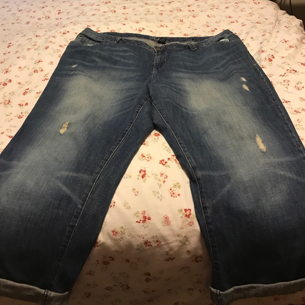 Lane Bryant distressed crop pants