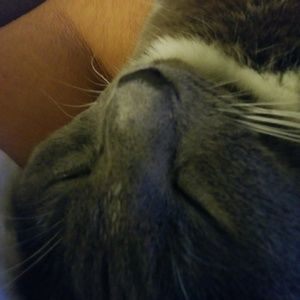 Meet your Posher, Elias