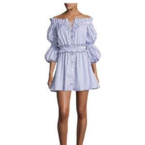 Caroline Constas dress