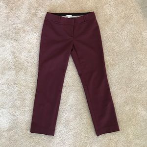 LOFT size 2 maroon pants