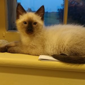 Meet your Posher, Judith