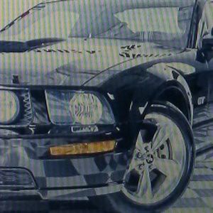 Meet your Posher, Coco