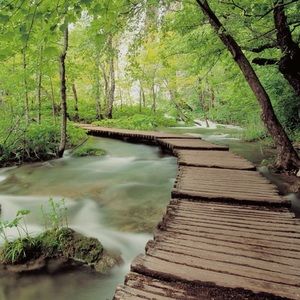 Meet your Posher, Sylvia