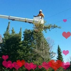 Meet your Posher, Johnson