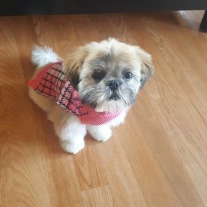 Meet your Posher, Fatima