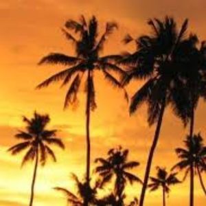 Meet your Posher, Chrissy