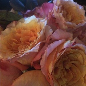 Reserved for @wintersgang5