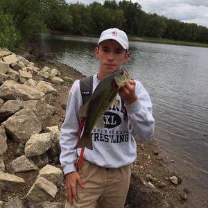 Meet your Posher, Chase