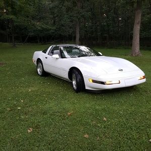 Meet your Posher, Timothy