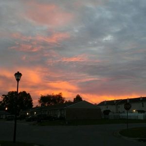 Meet your Posher, Shelley