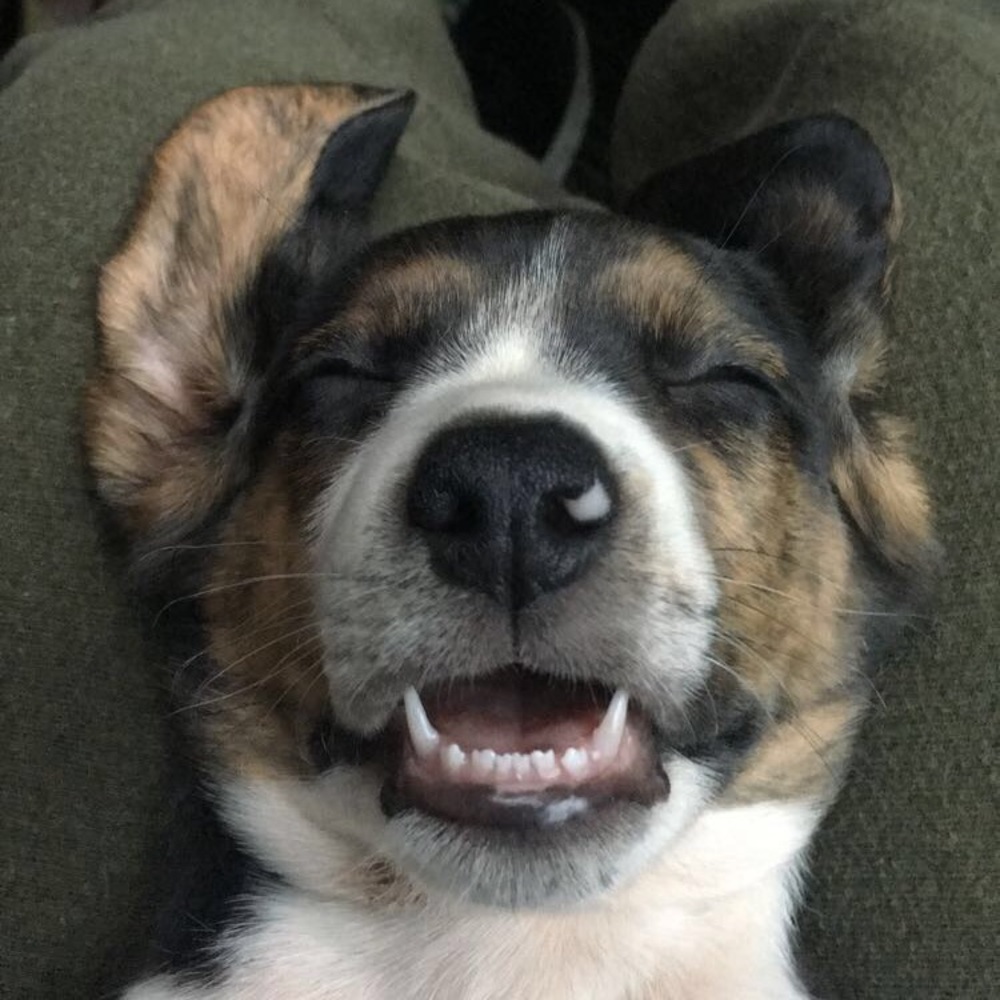 Meet your Posher, Elesha