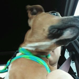 Meet your Posher, Mark