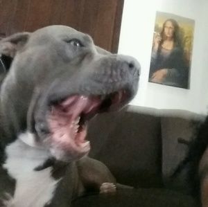 Meet your Posher, Keith