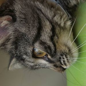 Meet your Posher, Rubilynda