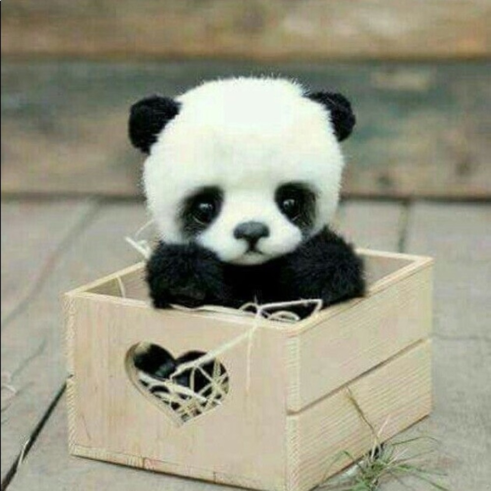 Meet your Posher, Amerie