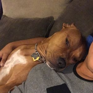 Meet your Posher, Ivette