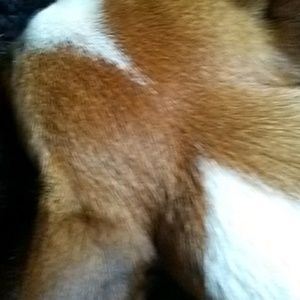 Meet your Posher, Terry