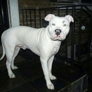 Meet your Posher, Frances