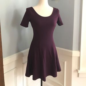 Fit & Flare Skater Dress in Plum/Dark Purple