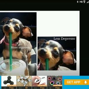 Meet your Posher, Luke