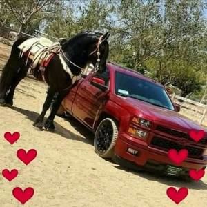 Meet your Posher, Diana luis