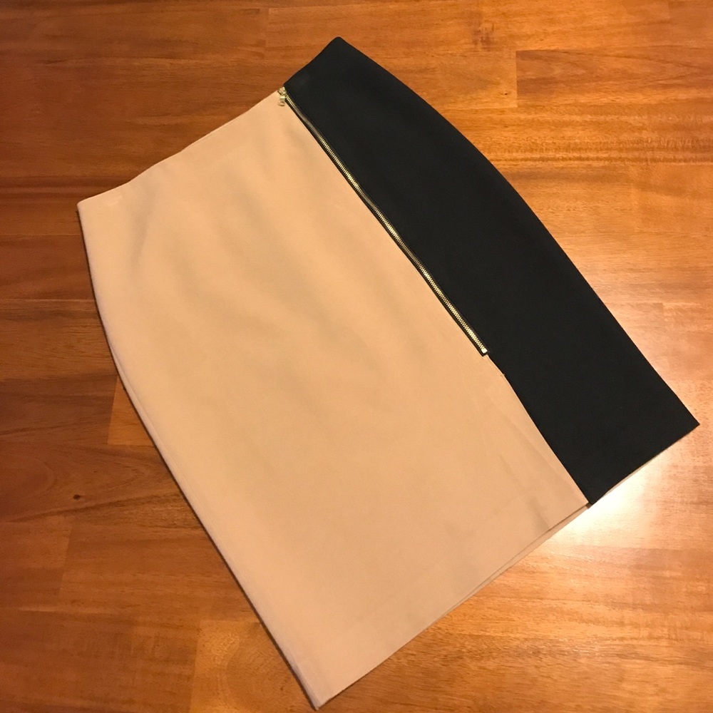 Ann Taylor Color Block Skirt