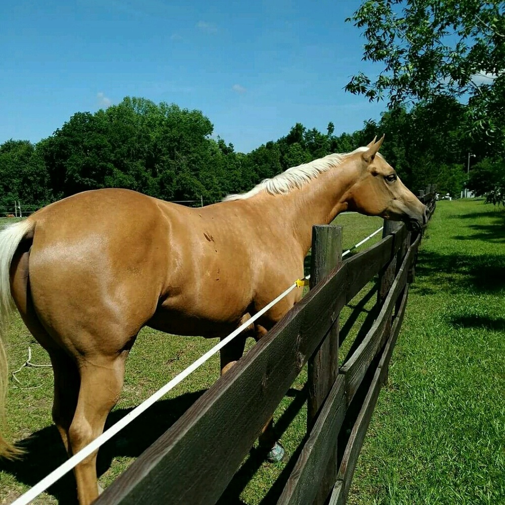 Meet your Posher, Darlene