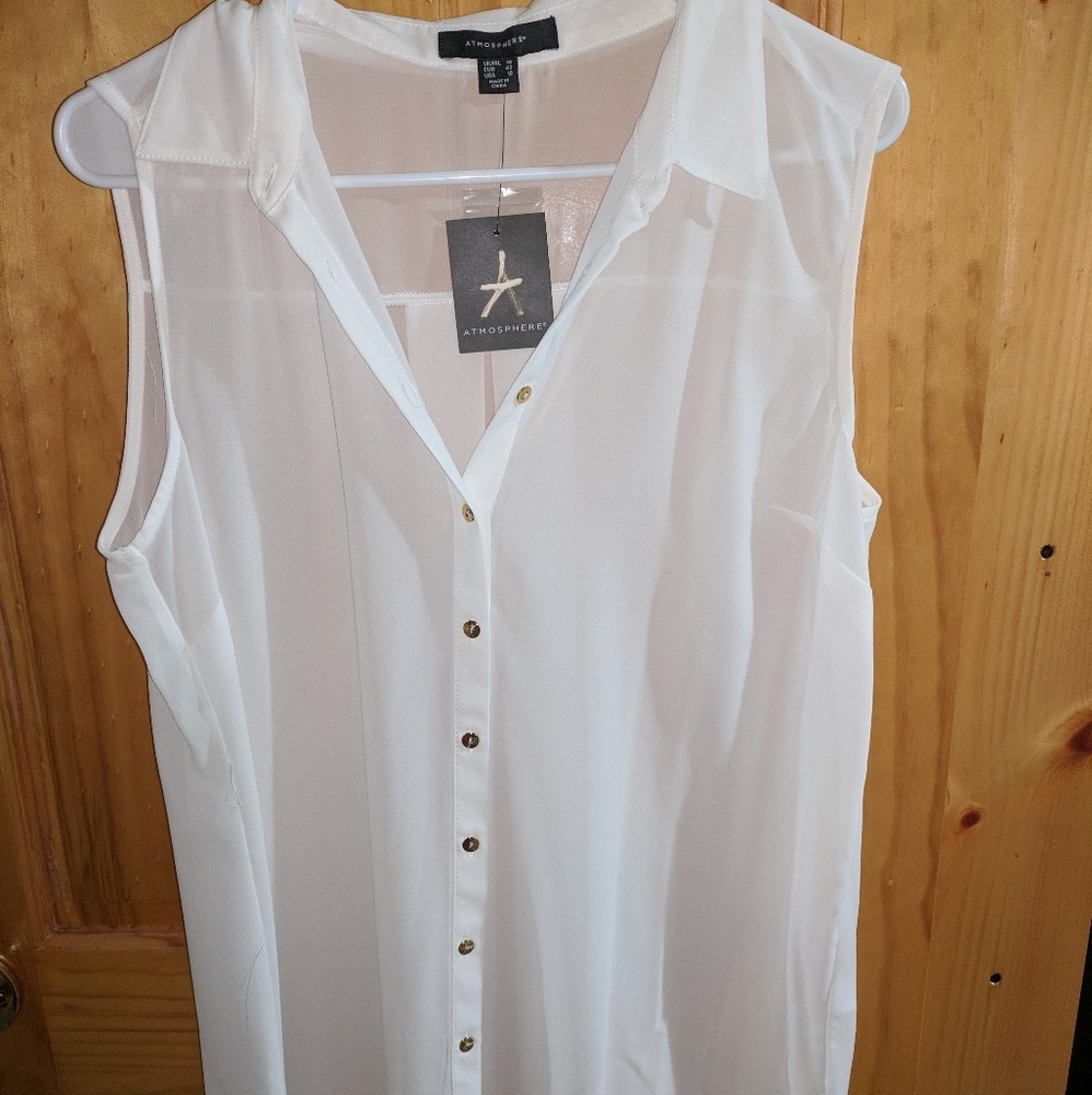 (2) Sleeveless collar button down