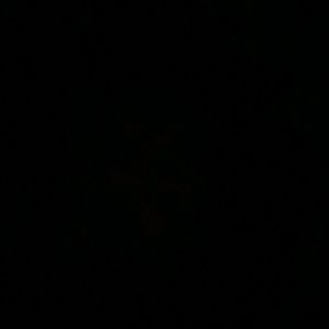 Meet your Posher, Tony