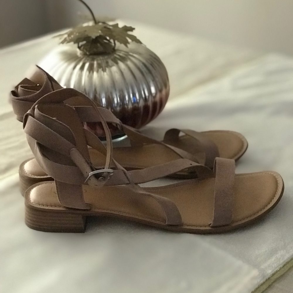 Franco Sarto gladiator sandals. Size 13.