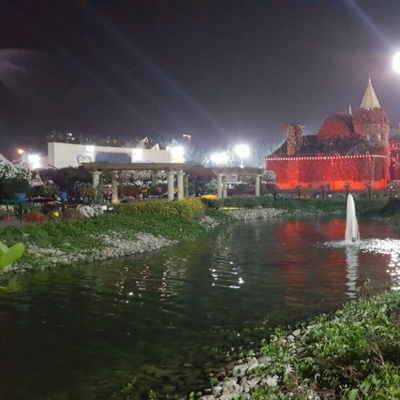 Meet your Posher, Kathy - Picture 1 of 1