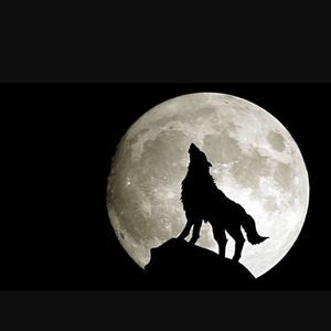 Meet your Posher, Marcus