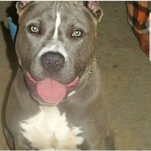 Meet your Posher, Danyale