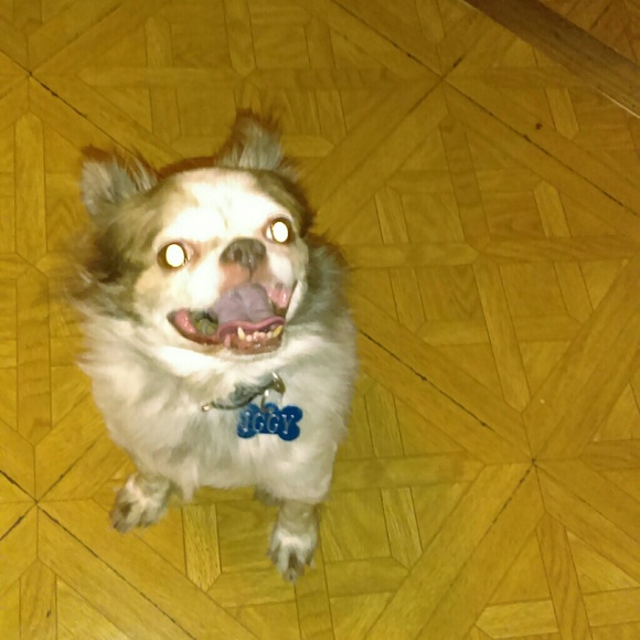 Happy - Picture 2 of 2