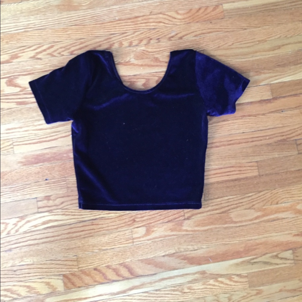 American Apparel Royal Purple Velvet Crop Top