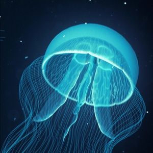 Meet your Posher, Marco