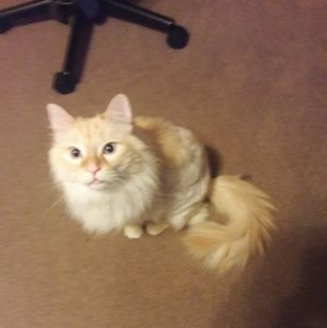 Meet your Posher, Jody