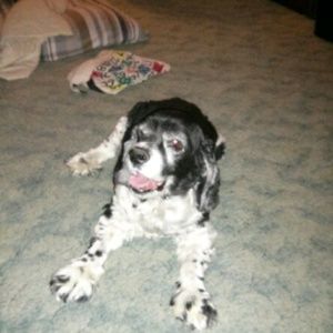 Meet your Posher, Patty