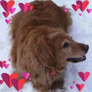 Meet your Posher, Lori