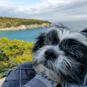 Meet your Posher, Mary