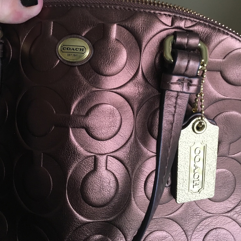 Coach Bronze handbag