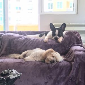 Meet your Posher, Daniella